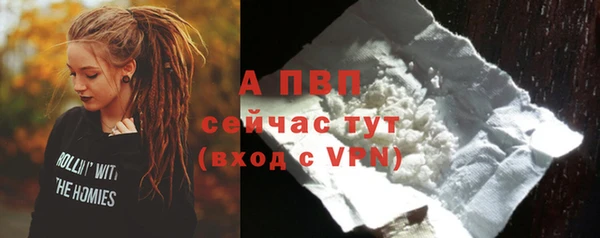 крисы Армянск