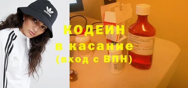 крисы Армянск
