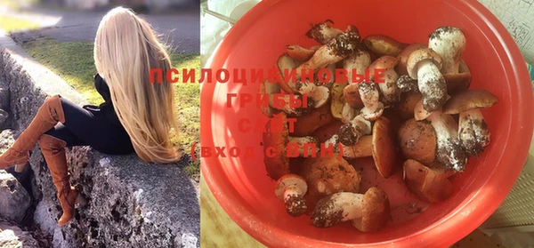крисы Армянск