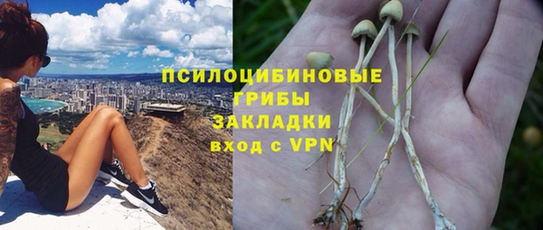 крисы Армянск